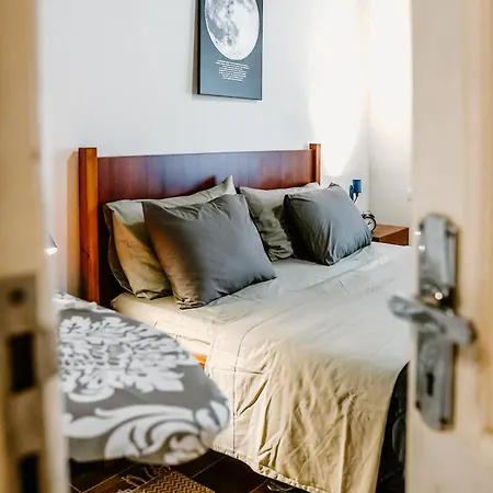 Grove: Blooms And Beds
